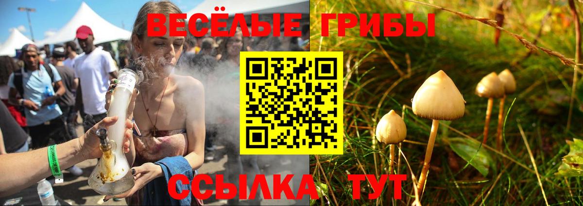 Псилоцибиновые грибы мицелий  Вход с VPN  Сибай 