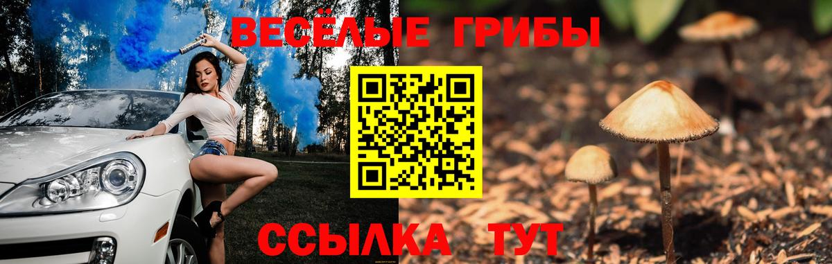 Галлюциногенные грибы Psilocybine cubensis Сибай